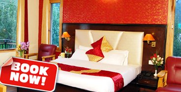 hotel A Star Regency Manali