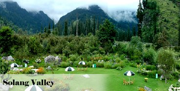 Hotel A Star Regency Manali